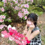 ヒメ日記 2026/05/14 18:34 投稿 うた i-doll（あいどーる）