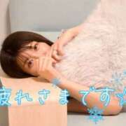 ヒメ日記 2026/05/14 23:04 投稿 うた i-doll（あいどーる）