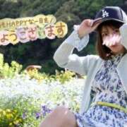 ヒメ日記 2026/05/15 11:44 投稿 うた i-doll（あいどーる）