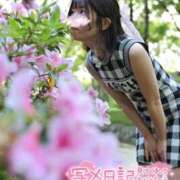 ヒメ日記 2026/05/15 15:42 投稿 うた i-doll（あいどーる）