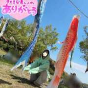 ヒメ日記 2026/05/17 16:04 投稿 うた i-doll（あいどーる）