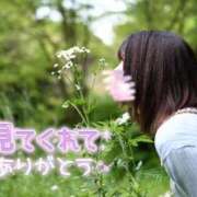 ヒメ日記 2026/05/20 12:14 投稿 うた i-doll（あいどーる）