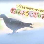 ヒメ日記 2026/05/23 04:04 投稿 うた i-doll（あいどーる）