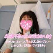 ヒメ日記 2026/05/23 15:14 投稿 うた i-doll（あいどーる）