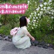 ヒメ日記 2026/05/25 19:44 投稿 うた i-doll（あいどーる）