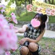 ヒメ日記 2026/05/26 08:44 投稿 うた i-doll（あいどーる）