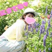 ヒメ日記 2026/05/28 12:34 投稿 うた i-doll（あいどーる）