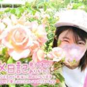 ヒメ日記 2026/05/29 13:04 投稿 うた i-doll（あいどーる）