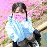 ヒメ日記 2026/05/29 15:14 投稿 うた i-doll（あいどーる）