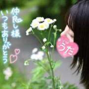 ヒメ日記 2026/06/01 03:55 投稿 うた i-doll（あいどーる）