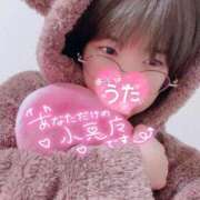 ヒメ日記 2026/06/01 04:07 投稿 うた i-doll（あいどーる）