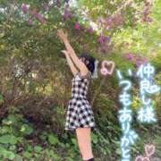 ヒメ日記 2026/06/01 04:25 投稿 うた i-doll（あいどーる）