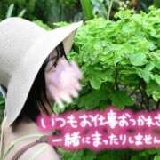ヒメ日記 2026/07/06 23:15 投稿 うた i-doll（あいどーる）