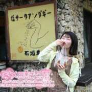 ヒメ日記 2026/07/08 15:14 投稿 うた i-doll（あいどーる）