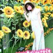 ヒメ日記 2026/07/28 12:04 投稿 うた i-doll（あいどーる）
