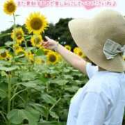 ヒメ日記 2026/08/06 15:04 投稿 うた i-doll（あいどーる）