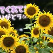 ヒメ日記 2026/08/15 12:04 投稿 うた i-doll（あいどーる）