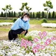 ヒメ日記 2026/09/09 12:14 投稿 うた i-doll（あいどーる）