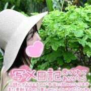 ヒメ日記 2026/09/12 16:57 投稿 うた i-doll（あいどーる）