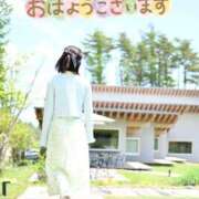 ヒメ日記 2026/09/14 08:04 投稿 うた i-doll（あいどーる）