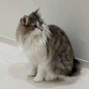 ヒメ日記 2026/03/02 23:24 投稿 りん i-doll（あいどーる）