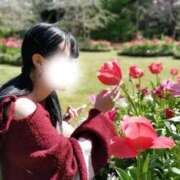 ヒメ日記 2026/04/02 23:51 投稿 りん i-doll（あいどーる）