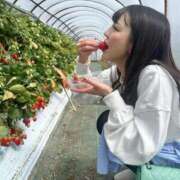 ヒメ日記 2026/02/05 09:24 投稿 みちる i-doll（あいどーる）