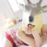 ヒメ日記 2026/01/28 21:04 投稿 いちご i-doll（あいどーる）