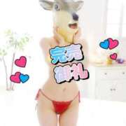 いちご 🍓完売です🙏🈵 i-doll（あいどーる）