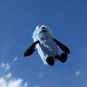 ヒメ日記 2026/04/15 02:14 投稿 ゆず i-doll（あいどーる）