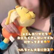 ヒメ日記 2026/06/16 23:34 投稿 ゆず i-doll（あいどーる）