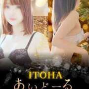 いとは あいどーるWEEK開催!! i-doll（あいどーる）