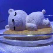 にあ 🍫 i-doll（あいどーる）