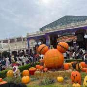 ヒメ日記 2026/03/27 19:34 投稿 うみ i-doll（あいどーる）