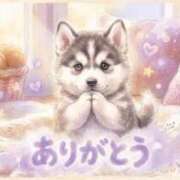 つき お礼💌🐾 i-doll（あいどーる）