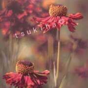 ヒメ日記 2026/04/16 17:53 投稿 月葉 素人妻達☆マイふぇらレディー