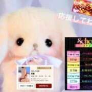 ヒメ日記 2026/08/12 05:08 投稿 月葉 素人妻達☆マイふぇらレディー
