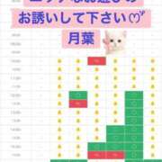ヒメ日記 2026/09/03 09:08 投稿 月葉 素人妻達☆マイふぇらレディー