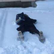 ヒメ日記 2026/02/07 15:18 投稿 ななし わちゃわちゃ密着リアルフルーちゅ西船橋