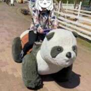 ヒメ日記 2026/03/31 15:08 投稿 ななし わちゃわちゃ密着リアルフルーちゅ西船橋