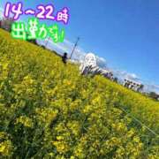 ヒメ日記 2026/04/05 10:08 投稿 ななし わちゃわちゃ密着リアルフルーちゅ西船橋