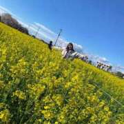 ヒメ日記 2026/04/26 14:18 投稿 ななし わちゃわちゃ密着リアルフルーちゅ西船橋