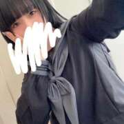 ノア おはよう〜🐾 MEGA PALACE(メガパレス）