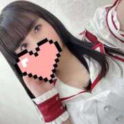 ノア こんにちは🐾 MEGA PALACE(メガパレス）