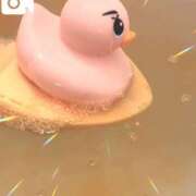 ノア 🦢~･:*+..:+ MEGA PALACE(メガパレス）