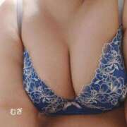 ヒメ日記 2026/02/12 15:13 投稿 むぎ 石川金沢ちゃんこ