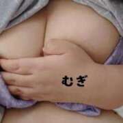 ヒメ日記 2026/02/19 00:41 投稿 むぎ 石川金沢ちゃんこ