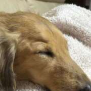 ヒメ日記 2026/03/05 22:34 投稿 あやせ 君とふわふわプリンセスin熊谷