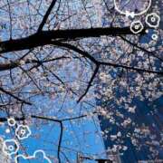 川本智子 あんときの◯◯き 五十路マダムエクスプレス船橋店(カサブランカグループ)