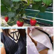 ヒメ日記 2026/04/27 21:50 投稿 川本智子 五十路マダムエクスプレス船橋店(カサブランカグループ)